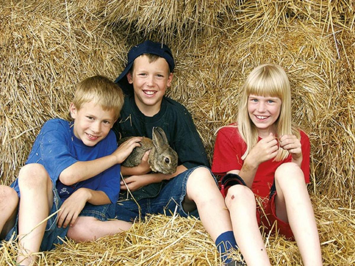 Ferienhof Schlag Waldmünchen Zewnętrze zdjęcie